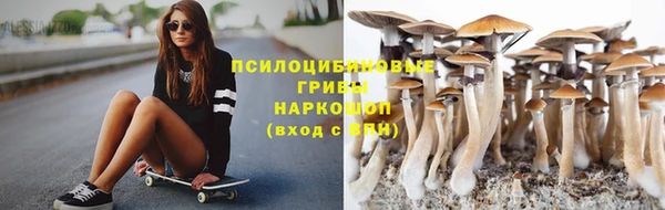 бутират Пересвет