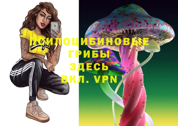 a pvp Переславль-Залесский