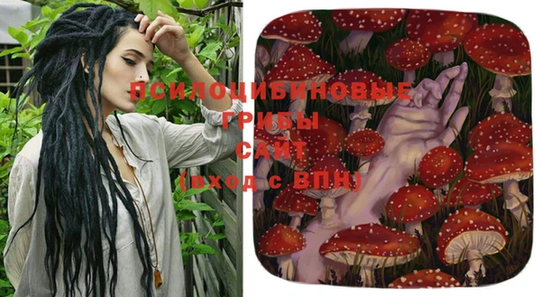 мяу мяу мука Гатчина