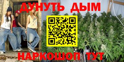 Альфа ПВП Дубна