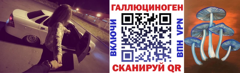 где найти   Советск  мориарти состав  Галлюциногенные грибы Cubensis 